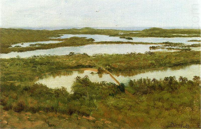Albert Bierstadt A River Estuary china oil painting image